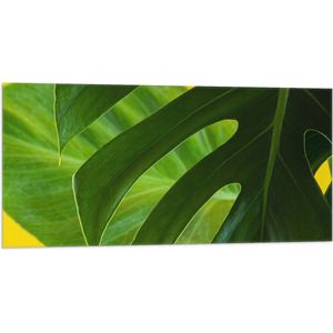 Vlag - Grote Groene Bananenbladeren tegen Okergele Achtergrond - 100x50 cm Foto op Polyester Vlag