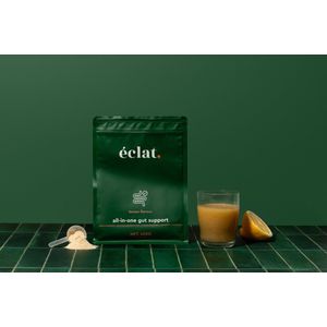 éclat all-in-one Gut Support (450 gram in poedervorm) - lemon flavour - citroensmaak