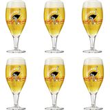 Brouwerij 't IJ speciaal bierglazen - 30cl - 6 stuks