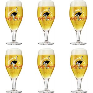 Brouwerij 't IJ speciaal bierglazen - 30cl - 6 stuks