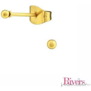2mm oorbellen bolletjes - goudkleurig - roestvrij staal - Rivers-sieraden - stainless steel - studs - oorbellen studs