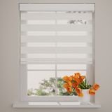 Radeco - Duo Rolgordijn - Lichtdoorlatend - Sneeuw Wit - Luxe Cassette