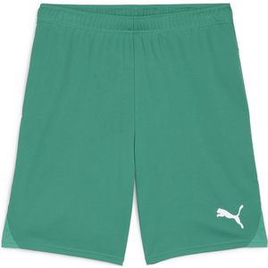 PUMA teamGOAL Shorts Heren Sportbroek - Sport Green-PUMA Wit - Maat L