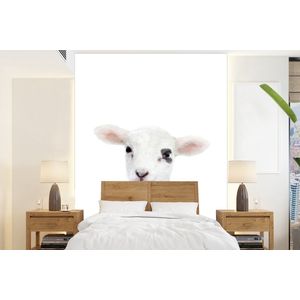 Lam - Wit - Dieren - Natuur - Behangpapier