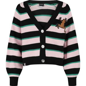 Harry Potter - Honeydukes - Cardigan - Meerkleurig - Dames
