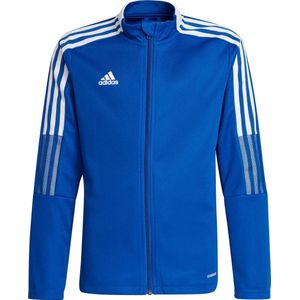 Adidas Tiro 21 Polyestervest Kinderen - Royal | Maat: 128