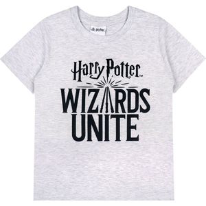 Grijs t-shirt met korte mouwen en Harry Potter print / 128 cm