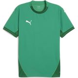 PUMA Unisex Teamfinal Jersey voetbalshirt