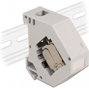 Delock - Keystone Module - Adapter - Grijs - Plastic, Metaal