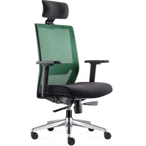 Bens 850H-Ergo-3 - NIEUW - Ergonomische Bureaustoel met alle instel opties - Incl. hoofdsteun - Gepolijst aluminium voetenkruis - GREENGUARD GOLD - Voldoet aan EN1335 & ARBO normen - Groen