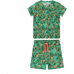 Jungle dieren tweedelige t-shirt & short set jongens