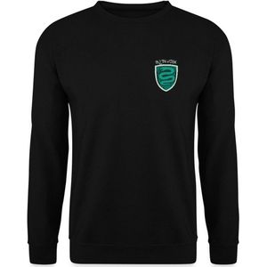 Harry Potter Slytherin Logo small Sweater Heren
