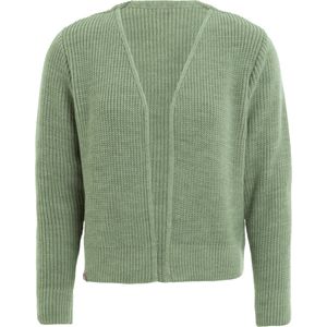 Knit Factory - Lenny Gebreid Vest - Gebreide dames cardigan - Kort vest op heuphoogte - Lichtgroen damesvest gemaakt uit 30% wol en 70% acryl - Sage Green - 36/38
