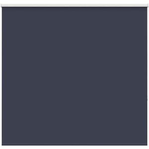 vidaXL - Rolgordijn - verduisterend - 165x130 - cm - stofbreedte - 161,6 - cm - blauw