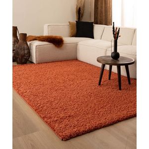 Hoogpolig vloerkleed shaggy Trend effen - terracotta 100x100 cm