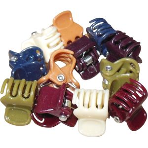 Haarklemmetjes mini bruin-creme-groen-rood-blauw. - Herfstkleuren - Herfst