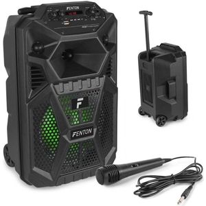 Mobiele Accu Speaker 100W met Bluetooth, LED verlichting en Microfoon