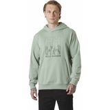Helly Hansen - Core Graphic - Hoodie - Groen