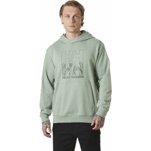 Helly Hansen - Core Graphic - Hoodie - Groen