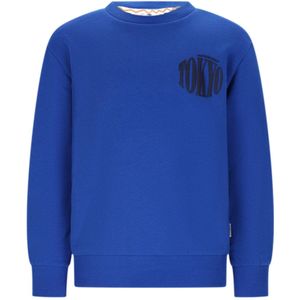 Moodstreet-Jongens SIMON mount FUJI sweater-Japan Sea