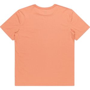 Quiksilver Tradesmith T-shirt - Canyon Clay