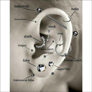 Helix Piercing Licht Paars Opaal Chirurgisch Staal
