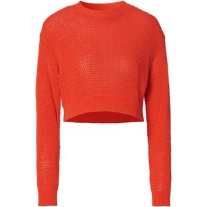 Noppies Trui Pablo Zwangerschap - Maat M