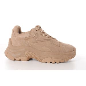 Ash - Addict - Sneakers - Bruin - Suède