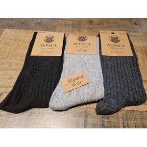 6 Paar - Alpaca Wollen Sokken - Maat 40-43 - Voorjaarssokken, Vrijetijdsokken - Werksokken