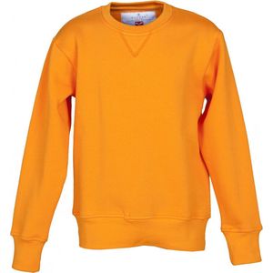 Sweater Payper Orlando kids L