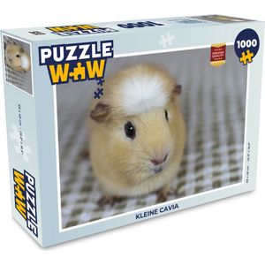 Puzzel Kleine cavia - Legpuzzel - Puzzel 1000 stukjes volwassenen