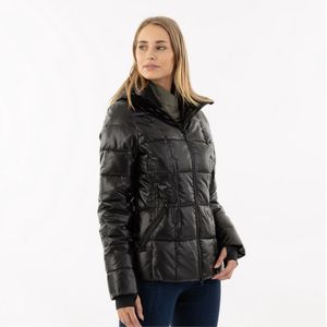 BR Jas Feline Meteorite - L