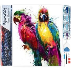 Figured'Art Diamond Painting set Volwassenen 40x50 cm Papegaaien in schilderij - 5D DIY Art full drill vierkante diamant - Opgerold canvas