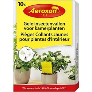 Aeroxon – Rouwvliegjes bestrijden – Aaltjes tegen rouwvliegjes – rouwvliegjes plakstrips – Fruitvliegjes vanger – Vliegenvanger - gele insectenvallen voor kamerplanten – 10 stuks