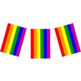 Regenboog vlaggenlijn - 7 meter - 25 x 20 cm - feest - Pride