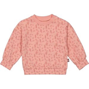 4President - Meisjes sweater - Toucan aop - Maat 74