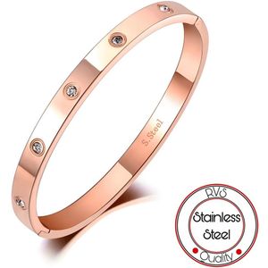 Borasi Bangle Armband | Rose | 6 mm | RVS Stainless Steel | Zirkonia stenen | Dames Armband | Cadeau | Dames Cadeau | Moederdag Cadeau | Cadeau Voor Haar | Best Verkochte Sieraden
