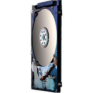 HGST interne harde schijf hdd Z5K500 500GB