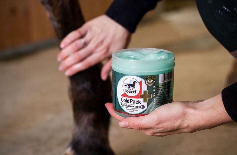 Leovet Leovet Cold Pack