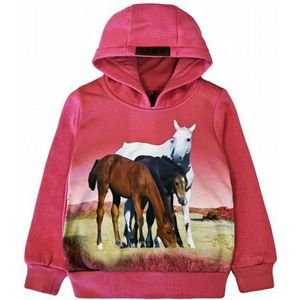 Sweater Hoodie trui met paard horse paarden veulen kleur roze maat 92 Heel mooi!