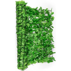 Fency Bright Ivy Afrastering tegen Inkijk en Wind 300 x 100 cm Klimop lichtgroen