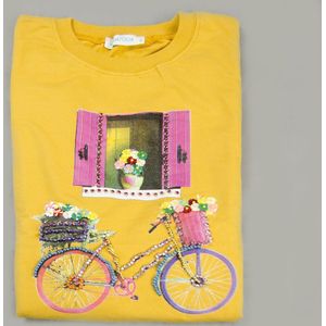 Trui / Sweater - Ladies Jumper