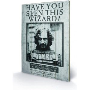 HARRY POTTER - Printing on wood 40X59 - Sirius Wanted