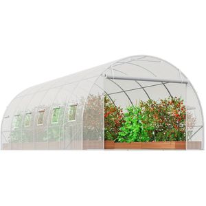 Walk-In Tunnel Kas – Tunnels Kas – Tuinkas – Kweekkas – Hoog Entree – Gegalvaniseerd Frame – UV-Bestendige PE-Folie - Wit