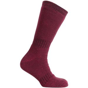 Norfolk - Wintersokken - 45% Merino wol Thermo sokken met Demping Warme Outdoorsokken - Merino wol sokken - Wollen Sokken - Maat 35-38 - Magenta - Nordique