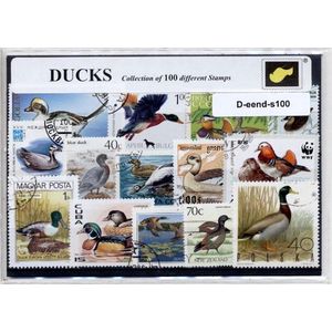 Eenden – Luxe postzegel pakket (A6 formaat) : collectie van 100 verschillende postzegels van eenden – kan als ansichtkaart in een A6 envelop - authentiek cadeau - kado tip - geschenk - kaart - eend - woerd - watervogel - kwaken - duck