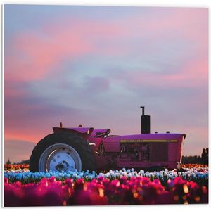 Forex - Roze Tractor Tijdens een Mooie Zonsondergang - 50x50cm Foto op Forex