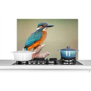Spatscherm keuken 80x55 cm - Kookplaat achterwand Vogel - IJsvogel - Tak - Muurbeschermer - Spatwand fornuis - Hoogwaardig aluminium