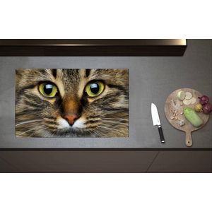 Inductieplaat Beschermer - Portretfoto van Bruin met Zwarte Huiskat - 80x52 cm - 2 mm Dik - Inductie Beschermer van Vinyl