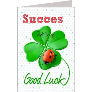 Wenskaart - Succes, Zet hem op, Good Luck - XL Formaat - Lieveheersbeestje - Wit - Een Stuk